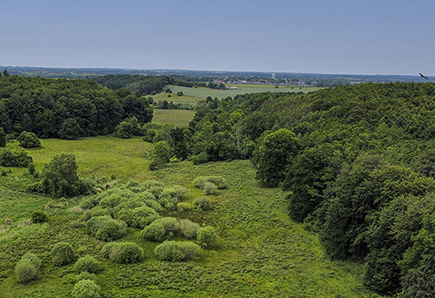 Med appen Natureventyr kan du gå på opdagelse flere steder i vores kommune. Historierne er målrettet til de 3-9 årige.