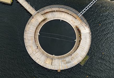 Frederikssund Kultur- og havnebad i Frederikssund Kulturhavn er åbent for offentligheden hele året.