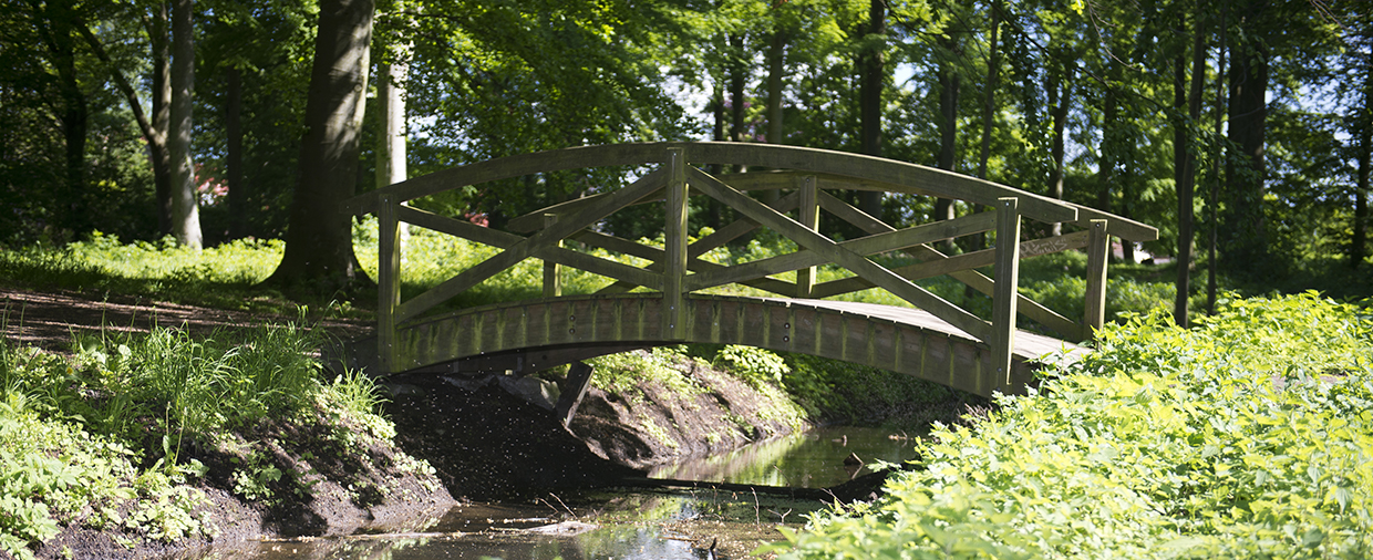 Slotshaven og Kohaven