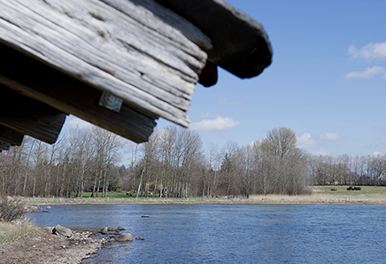 shelterplads ved Svanholm