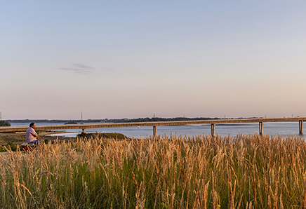 Fjordstien er en natursti langs Roskilde Fjord og Isefjord