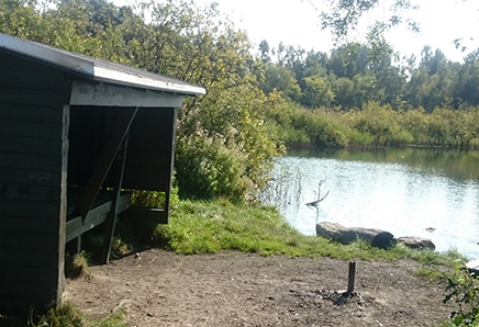 shelterplads ved Skuldelev grusggrav